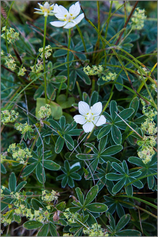 sd  117_jpg-1379698512