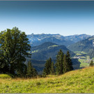 sd  214_jpg-1379698561
