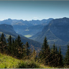 sd  215_jpg-1379698564