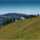 sd  225_jpg-1379698572