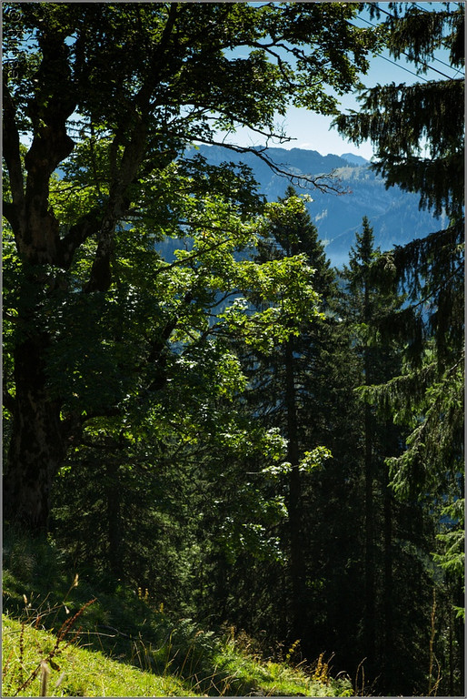 sd  231_jpg-1379698576