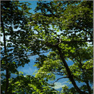 sd  234_jpg-1379698583