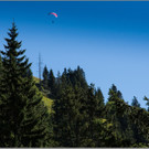 sd  251_jpg-1379698600