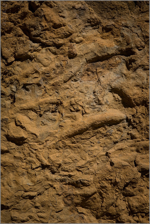 sd  457_jpg-1379698739
