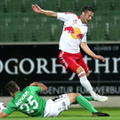 Mattersburg - FC Liefering