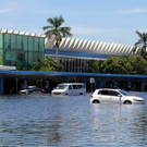 IBD0065-20130919.jpg