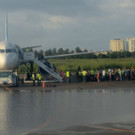 IBD0219-20130920.jpg