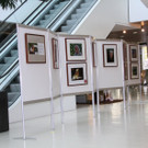 Ausstellung feierlich eröffnet