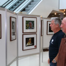 IMG_8687_jpg-1379753842