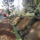 IBD0737-20130921.jpg