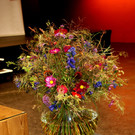 DSC02999.JPG