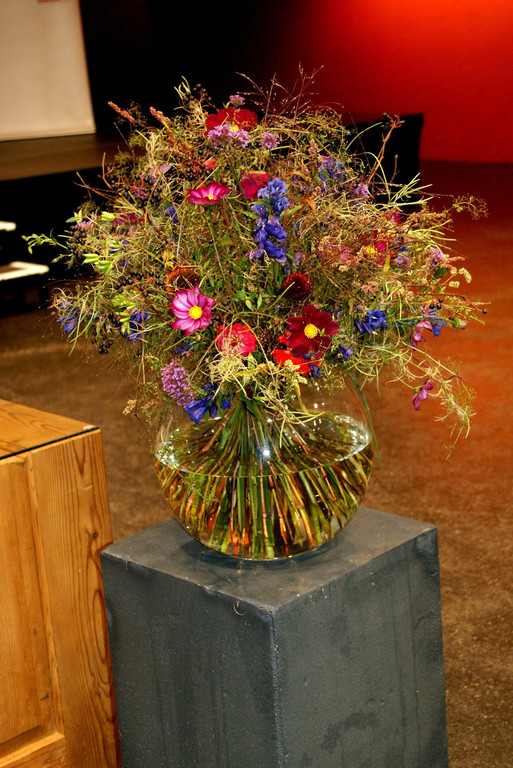 DSC02999.JPG