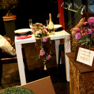 DSC03000.JPG