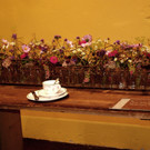 DSC03027.JPG