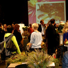 DSC03029.JPG