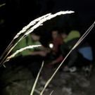 DSC06092 _Large__JPG-1379826471
