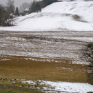 KOE-Riedpflege-Maria Gr__n 3_jpg-1268814489