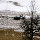 KOE-Riedpflege-Maria Gr__n 4_jpg-1268814499