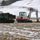KOE-Riedpflege-Maria Gr__n 6_jpg-1268814518