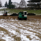 KOE-Riedpflege-Maria Gr__n 13_jpg-1268814608