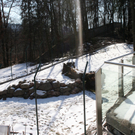 IMG_5671.JPG