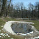 IMG_5683.JPG