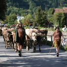 IMG_6847_jpg-1379876409