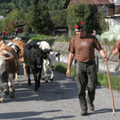 IMG_6854_jpg-1379876466