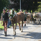 IMG_6860_jpg-1379876514