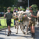 IMG_6862_jpg-1379876548