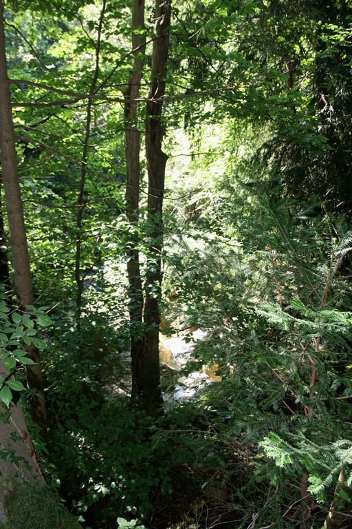 Klausm__hlebach BACHVERLAUF 2013 _20__jpg-1379877269