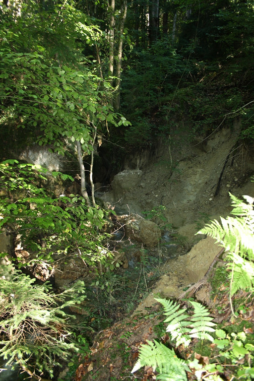 Klausm__hlebach BACHVERLAUF 2013 _18__jpg-1379877255