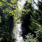 Klausm__hlebach BACHVERLAUF 2013 _23__jpg-1379877289