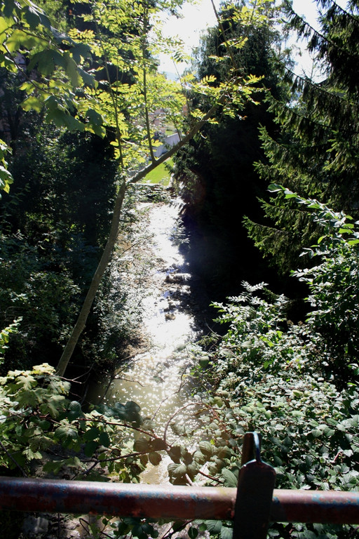 Klausm__hlebach BACHVERLAUF 2013 _23__jpg-1379877289