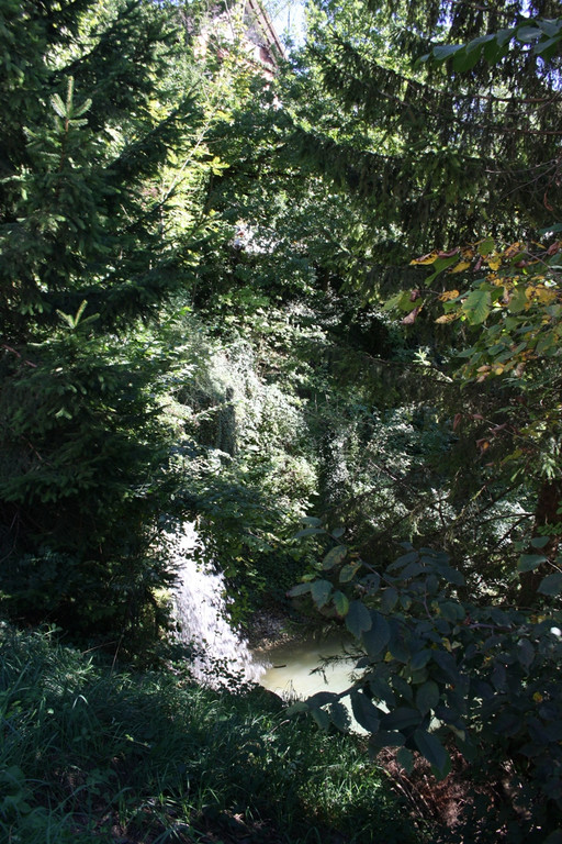 Klausm__hlebach BACHVERLAUF 2013 _24__jpg-1379877297