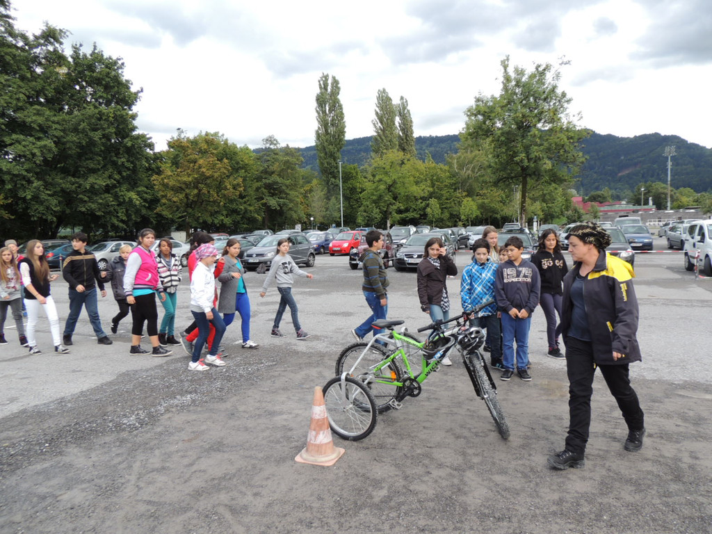 DSCN4738_JPG-1379878138