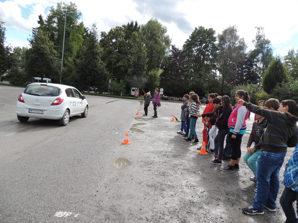 DSCN4779_JPG-1379878164