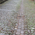 DSCN5140_JPG-1379878519