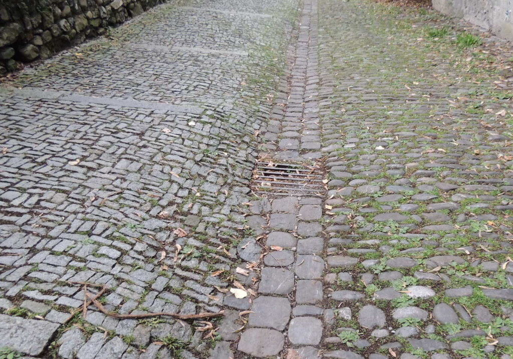 DSCN5140_JPG-1379878519