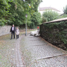 DSCN5142_JPG-1379878526