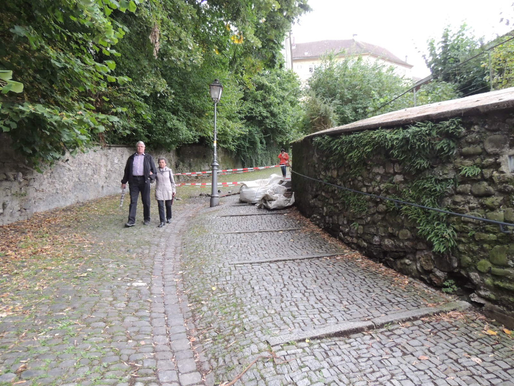 DSCN5142_JPG-1379878526