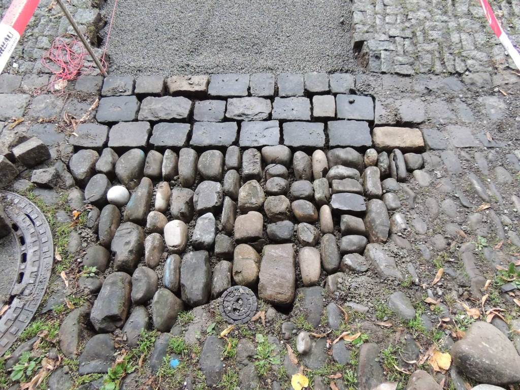 DSCN5138_JPG-1379878516