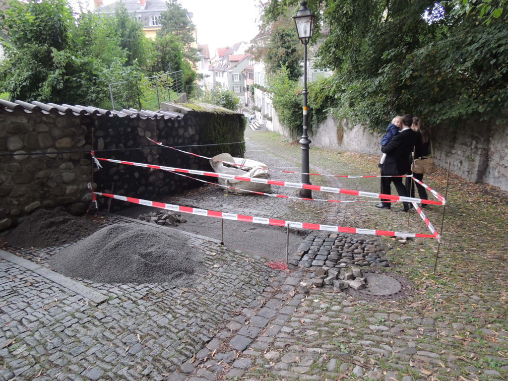 DSCN5105_JPG-1379878512