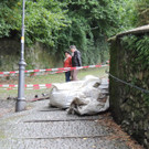 DSCN5143_JPG-1379878530