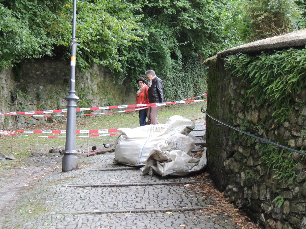 DSCN5143_JPG-1379878530