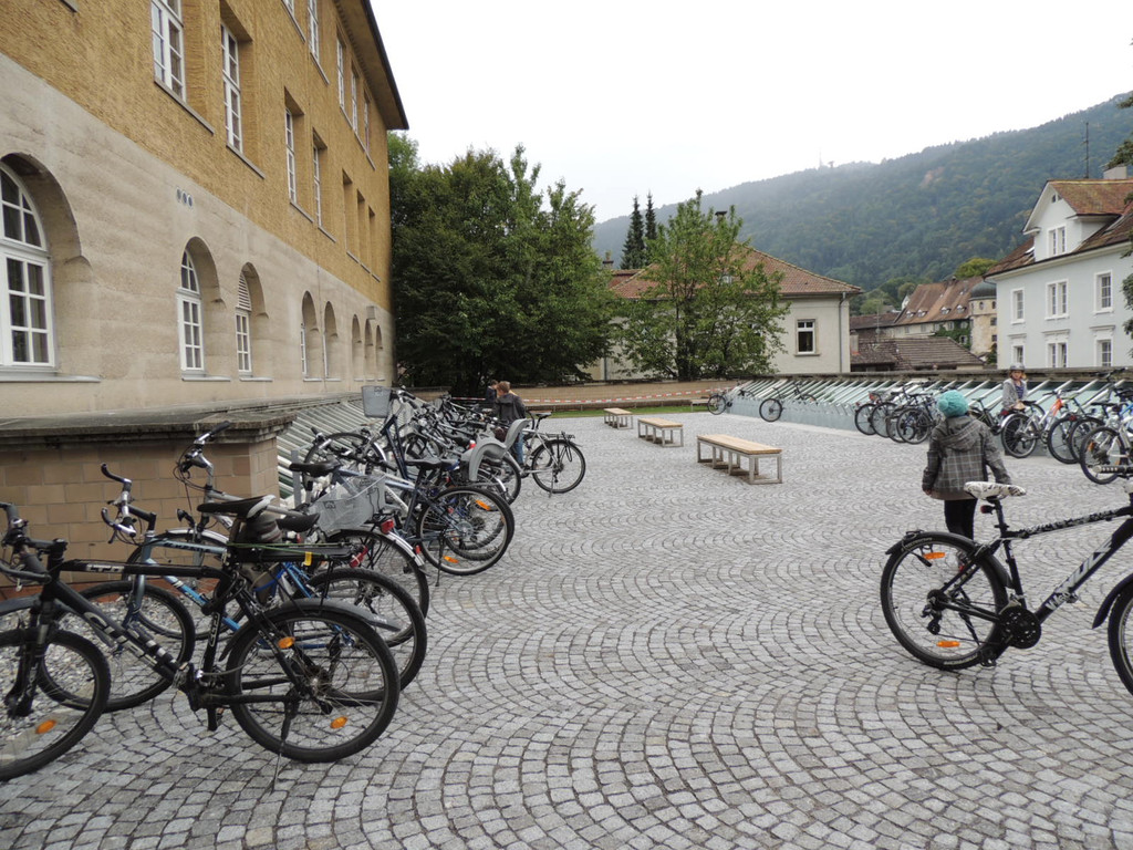 DSCN5066_JPG-1379879841