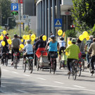 DSCN5316_JPG-1379885049