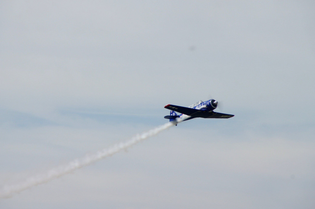 DSC02206.JPG