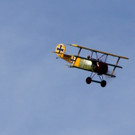 DSC02216.JPG