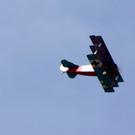 DSC02217.JPG